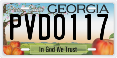 GA license plate PVD0117