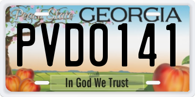GA license plate PVD0141
