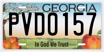 GA license plate PVD0157