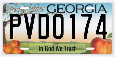 GA license plate PVD0174