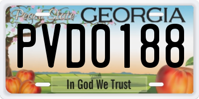 GA license plate PVD0188