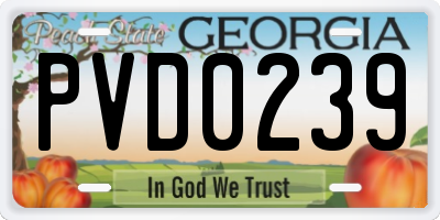 GA license plate PVD0239