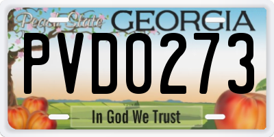 GA license plate PVD0273