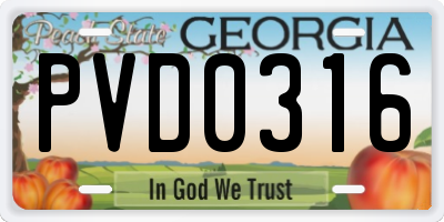 GA license plate PVD0316
