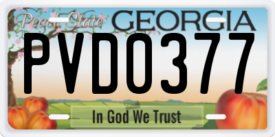 GA license plate PVD0377