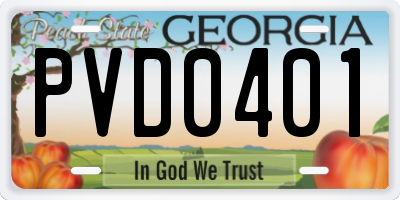 GA license plate PVD0401