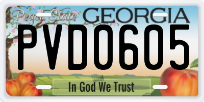 GA license plate PVD0605