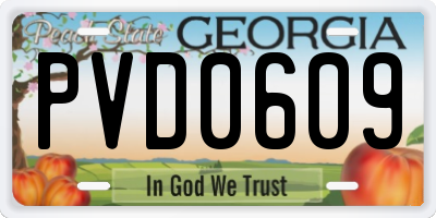 GA license plate PVD0609