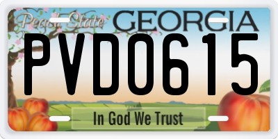 GA license plate PVD0615
