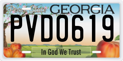 GA license plate PVD0619