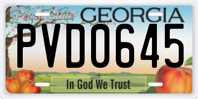 GA license plate PVD0645
