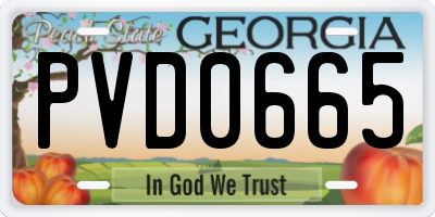 GA license plate PVD0665