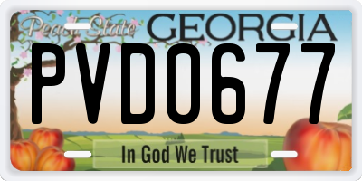 GA license plate PVD0677