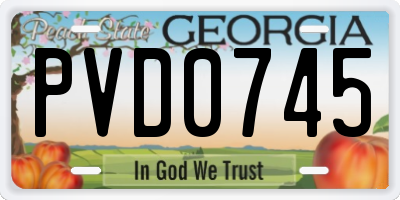 GA license plate PVD0745