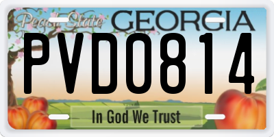 GA license plate PVD0814