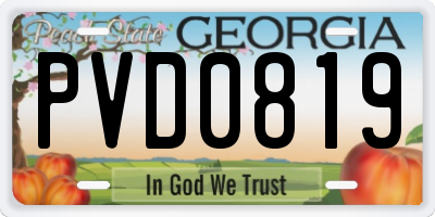 GA license plate PVD0819