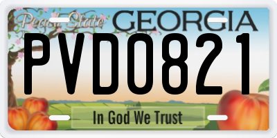 GA license plate PVD0821