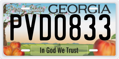GA license plate PVD0833
