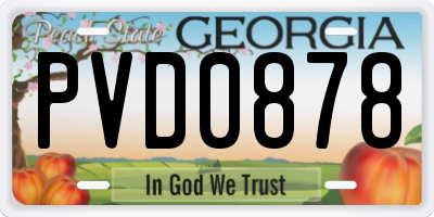 GA license plate PVD0878