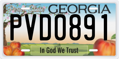 GA license plate PVD0891