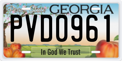 GA license plate PVD0961