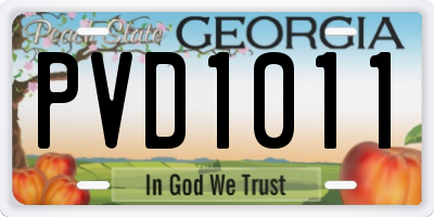 GA license plate PVD1011