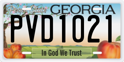 GA license plate PVD1021