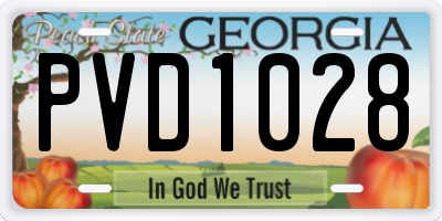 GA license plate PVD1028
