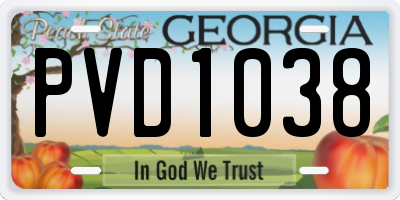 GA license plate PVD1038