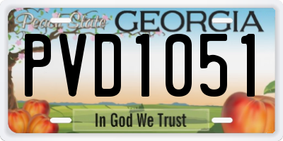 GA license plate PVD1051