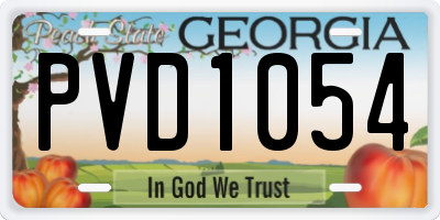 GA license plate PVD1054
