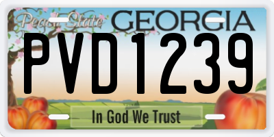 GA license plate PVD1239