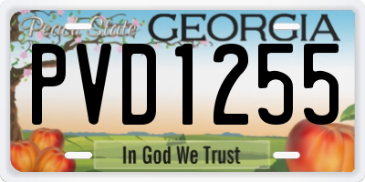 GA license plate PVD1255