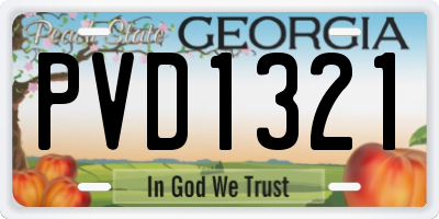GA license plate PVD1321