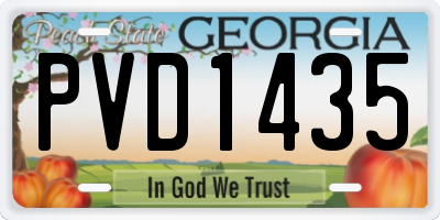 GA license plate PVD1435