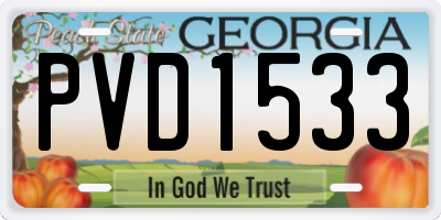 GA license plate PVD1533