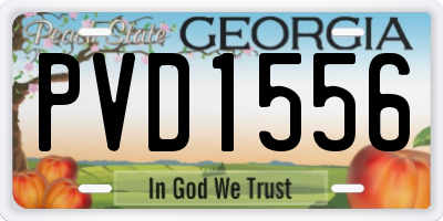 GA license plate PVD1556