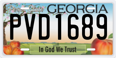 GA license plate PVD1689