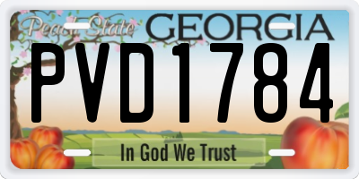 GA license plate PVD1784