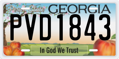 GA license plate PVD1843
