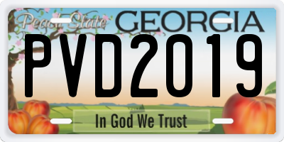 GA license plate PVD2019