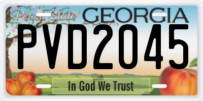 GA license plate PVD2045