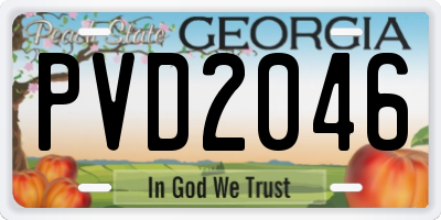 GA license plate PVD2046