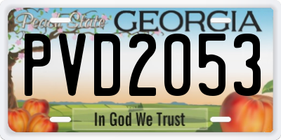 GA license plate PVD2053