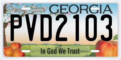 GA license plate PVD2103