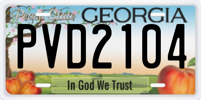 GA license plate PVD2104