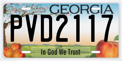 GA license plate PVD2117
