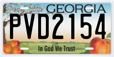 GA license plate PVD2154