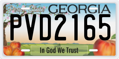 GA license plate PVD2165