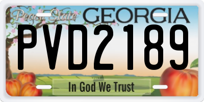 GA license plate PVD2189